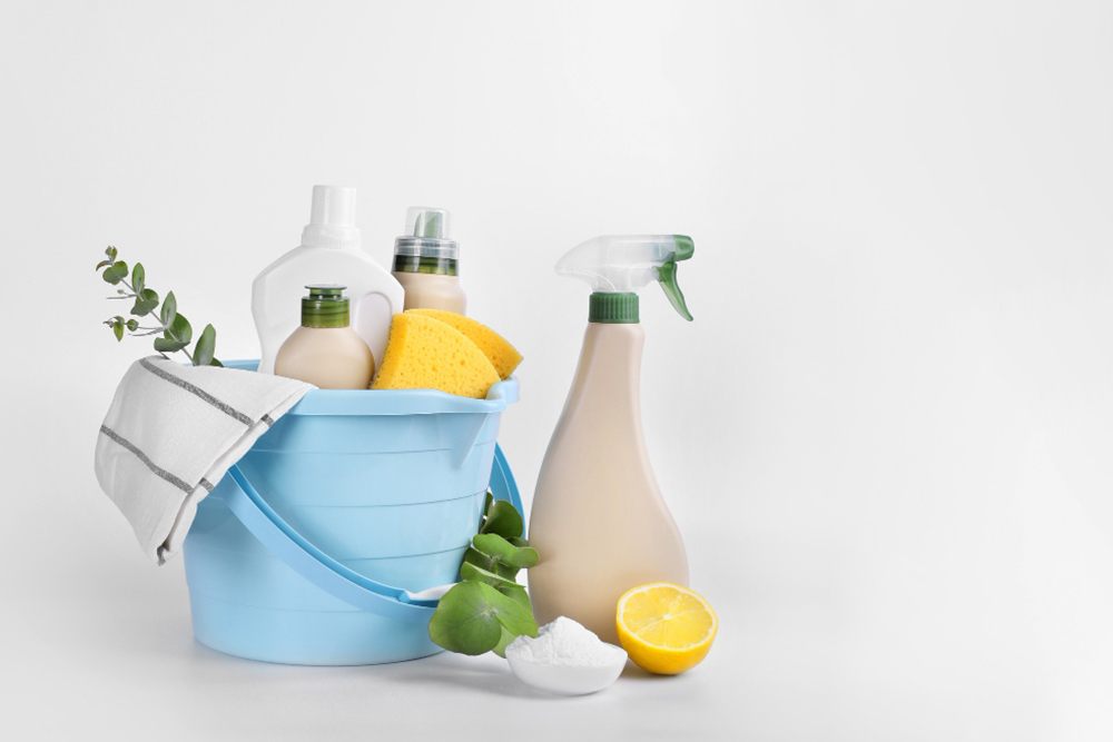 Understanding Green Cleaning Services