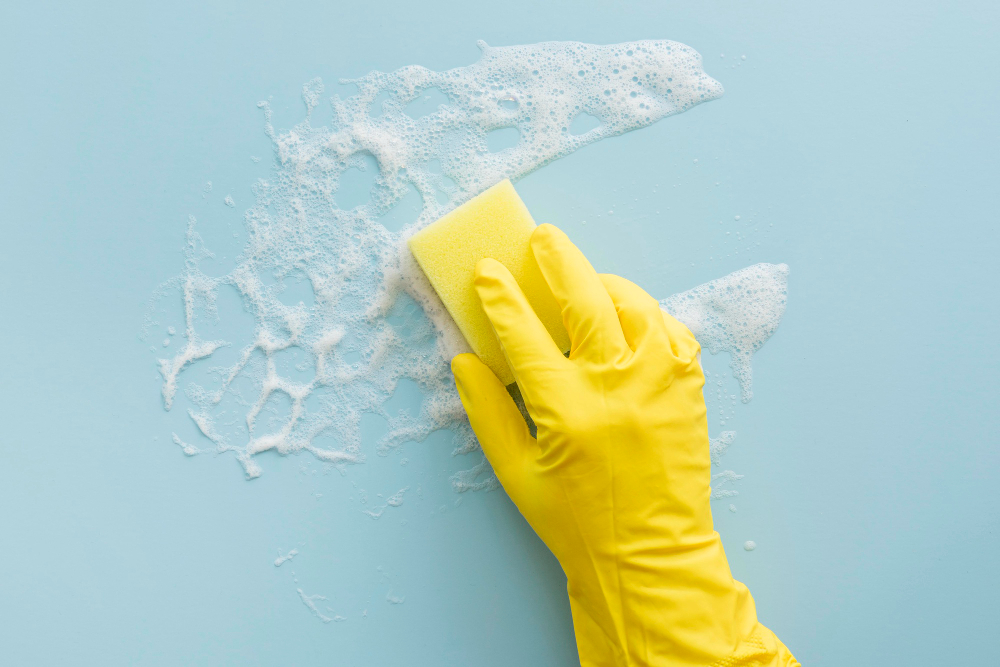 The Ultimate Guide to Mold and Mildew Removal